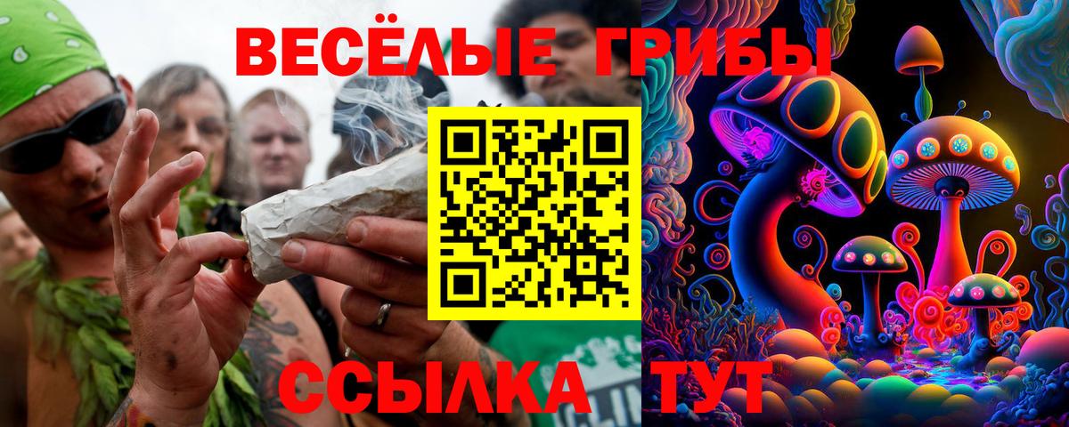 Псилоцибиновые грибы прущие грибы Кизляр